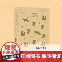 小王子 译文40系列 圣埃克絮佩里 全译本中文版世界 文学名著小说书籍 外国文学名著读物 温暖人心哲童话故事 上海译文出