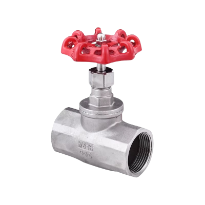 智铮朗月 不锈钢截止阀 DN20 个