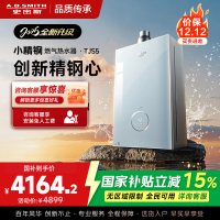 史密斯佳尼特[小精钢TJS5]16升增压零冷水燃气热水器 国家补贴 JSQ31-TJS5 安全守护 持久恒温 新品