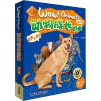 正版新书]动物成长故事.第2辑(全6册)(澳)丽贝卡·约翰逊 著 刘子