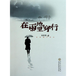 醉染图书在雨地里穿行9787530657201