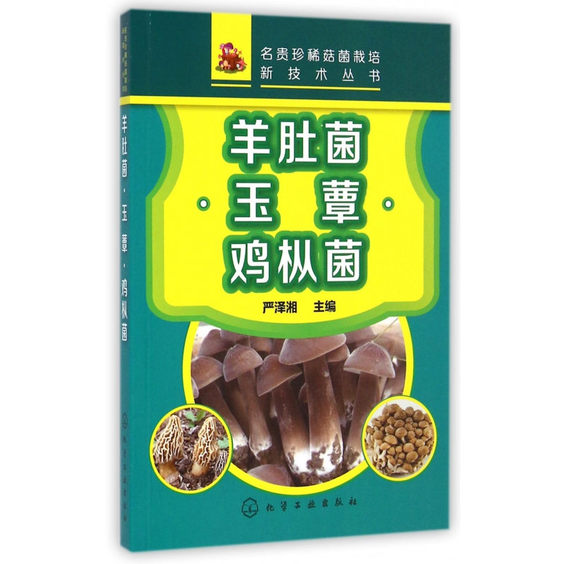 音像羊肚菌玉蕈鸡枞菌/名贵珍稀菇菌栽培新技术丛书严泽湘
