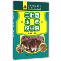 音像羊肚菌玉蕈鸡枞菌/名贵珍稀菇菌栽培新技术丛书严泽湘
