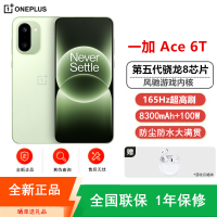 [全新]一加Ace6 T 16GB+1TB 掠影绿 第五代骁龙8芯 8300毫安大电池 165Hz刷新率 100W快充 双卡5G手机 Ace6