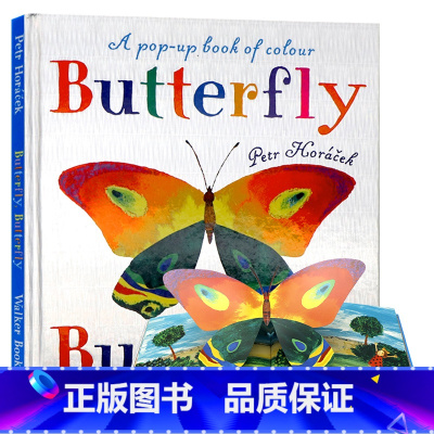 [正版]蝴蝶英文原版绘本 Butterfly Butterfly A Book of Colors 儿童阅读昆虫认知小