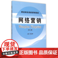 网络营销(第2版职业岗位技能规划教材)