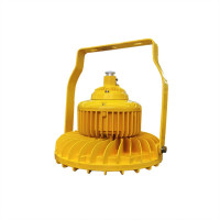 旭升CXS CGBF0101L IP66 AC220V 5000K LED防爆泛光灯 黄色120W