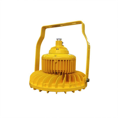 旭升CXS CGBF0101L IP66 AC220V 5000K LED防爆泛光灯 黄色120W