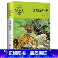 沈石溪虎娃金叶子 [正版] 虎娃金叶子 动物小说大王沈石溪品藏书系 少儿小说寓言故事书 儿童文学3-6-7-8-10岁