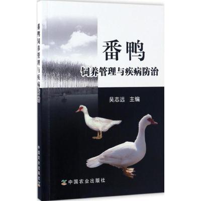 番鸭饲养管理与疾病防治