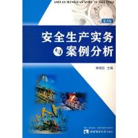 正版新书]安全生产实务与案例分析陈晓彤 主编9787562173236