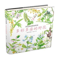 诺森多彩多姿的野花匡廷云著9787557839727吉林科学技术出版社