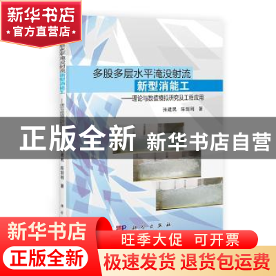 正版 多股多层水平淹没射流新型消能工:理论与数值模拟研究及工程