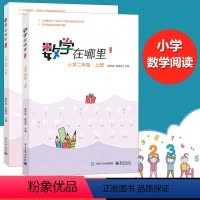[正版] 数学在哪里二年级 上下册 百种中小学阅读书目 小学数学趣味阅读 数学阅读课外书 小学数学思维训练