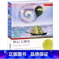 [正版]梦幻飞翔岛新蕾出版社国际大奖小说非注音版三年级四年级五年级六年级小学生课外阅读必读书籍 7-8-10-12-1