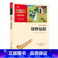 智慧熊绿野仙踪 [正版]书籍绿野仙踪(中小学生课外阅读指导丛书)彩插无障碍阅读 图书