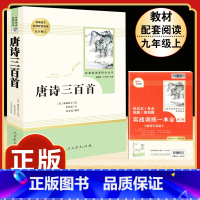 [人教版]唐诗三百首 [正版]儒林外史原着吴敬梓九年级下册必读课外书人民教育出版社初三名著无障碍阅读语文书目完整版带注释