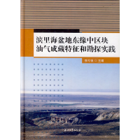 正版新书]滨里海盆地东缘中区块油气成藏特征和勘探实践徐可强97