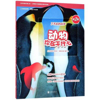 动物你在干什么