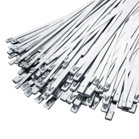 诚智旺 不锈钢扎带 10*1400 /根