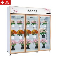 埃利斯(AILISI)鲜花保鲜柜XC-1200SL风冷保鲜柜风冷商用展示柜冷藏柜鲜花植物柜花店立式陈列柜