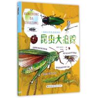 正版新书]昆虫大追踪(精)/我的自然生态图书馆赵荣台//陈景亭|绘