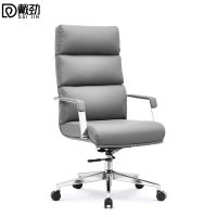 戴劲戴劲办公椅经理主管椅家用电脑椅职员网椅会议椅休闲座椅A13