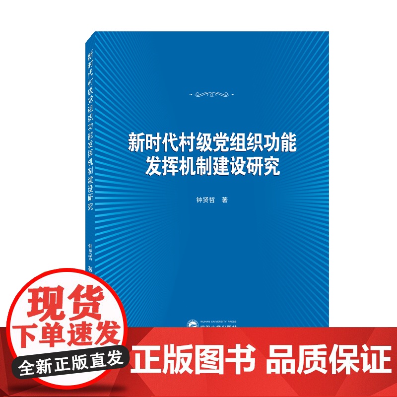 新时代村级党组织功能发挥机制建设研究