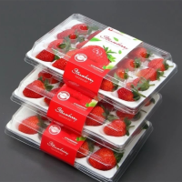 顺丰快递[苏鲜生]彩箱装 四川 正宗大凉山草莓 小果 单果15g左右 净重1.2斤 (300g*2)吸塑盘 新鲜水果