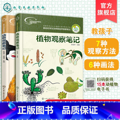2册 我的大自然观察笔记 [正版]我的大自然观察笔记 动物植物大自然观察6-12岁小学生手绘原创写作培养书 思维观察训练