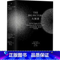[正版]大图景 论生命的起源、意义和宇宙本身 (美)肖恩·卡罗尔(Sean Carroll) 著 方弦 译 自然科学