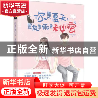 正版 你是夏天是风是雨是秘密 小花作者 贵州人民出版社 97872211