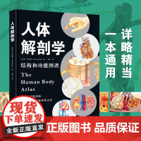人体解剖学(结构和功能图谱) 肯·阿什威尔 澳大利亚新南威尔士大学比较解剖学教授 江苏凤凰科学技术出版社 97875