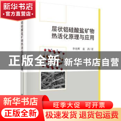 正版 层状铝硅酸盐矿物热活化原理与应用 李光辉,姜涛 科学出版