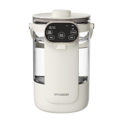 HYUNDAI 韩国现代电热水壶(电开水瓶)RC-K25A