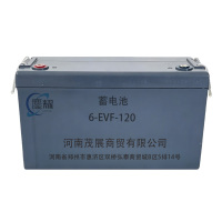 鏖耀 蓄电池 6-EVF-120 块