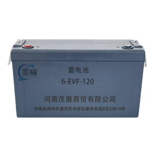 鏖耀 蓄电池 6-EVF-120 块