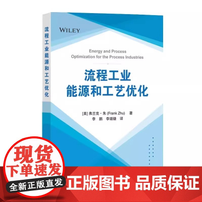 [2025新书]流程工业能源和工艺优化 李鹏 李璐婕 译 过程工业中能源优化的基本概念 理论和实践方法 设备评估到系统优
