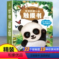 宝宝的第一本触摸书[超大地板书] [正版]妙趣洞洞书婴儿书早教宝宝益智撕不烂认知绘本0-2岁3d立体翻翻拉拉机关书一岁半