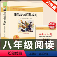 [配套人教版]钢铁是怎样炼成的.送考点 [正版]经典常谈朱自清和钢铁是怎样炼成的必读原著八年级下册课外书初中阅读名著文学