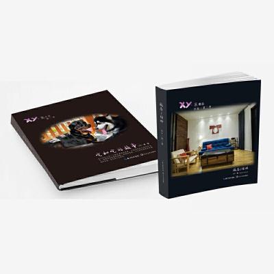 正版新书]它和它的故事XY·寒9787570205417