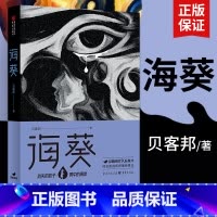 [正版] 海葵 《消失的孩子》原著小说 佟大为主演芒果TV豆瓣阅读征文大赛头奖、小雅奖励获奖作者贝客邦社会派悬疑开