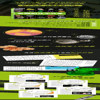 [M]美丽的化学元素-9787115600585