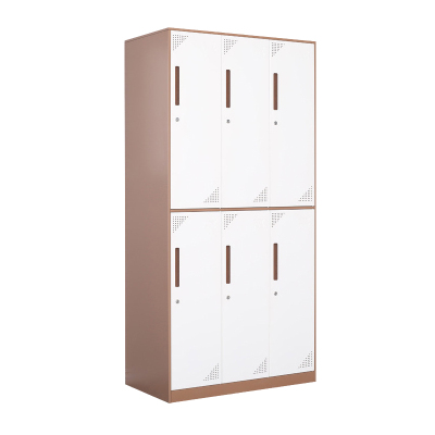 臻远 ZY-GYGC-10拆装更衣柜窄边储物柜 咖白套色六门