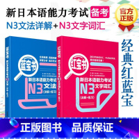 [正版]红蓝宝书 新日本语能力考试N3文字词汇+新日本语能力考试N3文法 详解+练习 新日本语能力考试三级n3单词语法