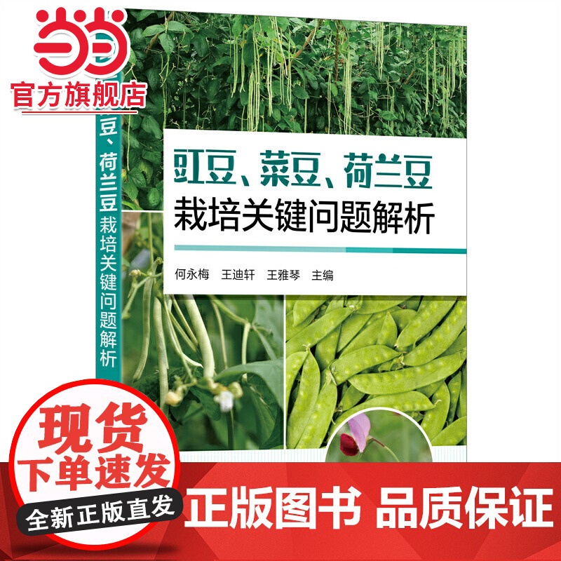 豇豆、菜豆、荷兰豆栽培关键问题解析 何永梅 化学工业出版社 正版书籍