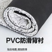 金宫龙 除尘脚垫 一个