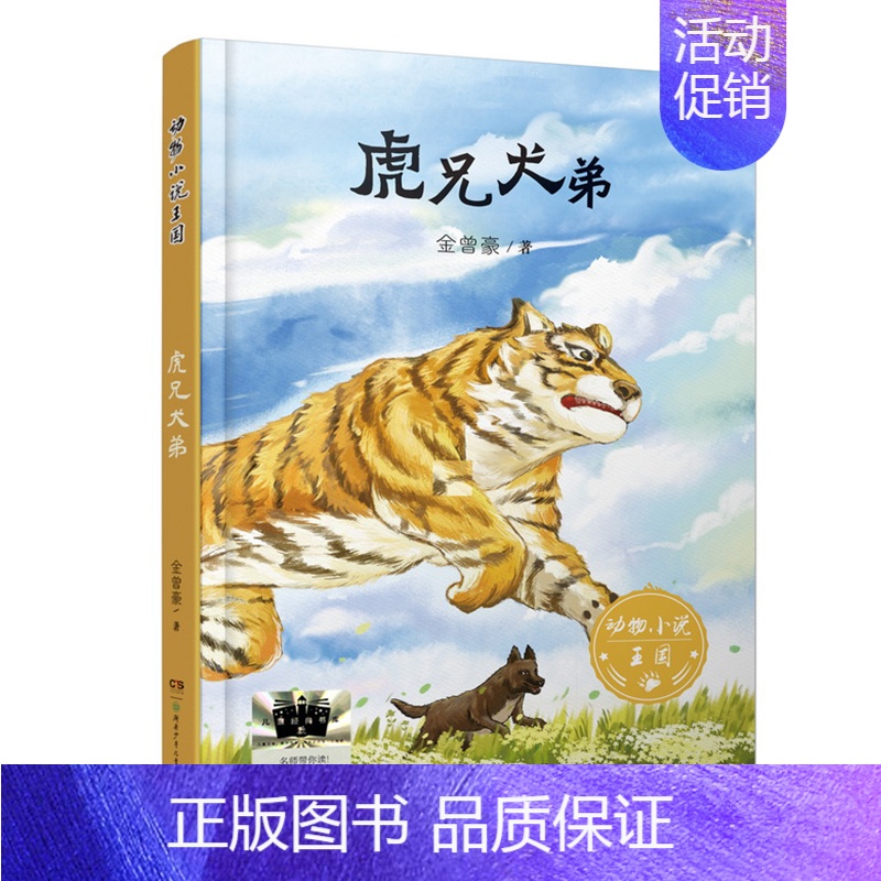 虎兄犬弟 [正版]不完美的你 M.埃文.沃肯斯坦著 蔡春露李钦译 2024暑假百班千人推 荐6/六年级小学生课外阅读书籍