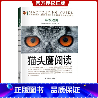 猫头鹰阅读·一年级 小学通用 [正版]猫头鹰阅读一二三四五六适用小学语文提升阅读素养 渗透习作技巧小学123456年级阅