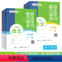 [人教版]语文 八年级下 [正版]2024广西自主学习能力测评七八九年级语文数学物理道德与法治历史生物人教版地理湘教版同